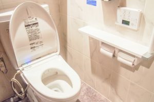 ウォシュレット　ノズル　掃除　方法